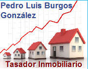 Tasador Inmobiliario Pedro Luis Burgos Gonzalez | Arenas de San Pedro