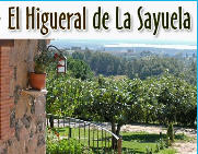 Casas Rurales y Apartamentos Turísiticos El Higueral de la Sayuela | El Raso
